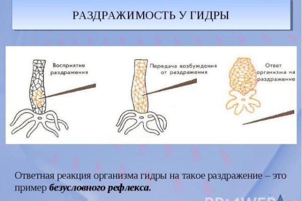 Что случилось с кракеном маркетплейс