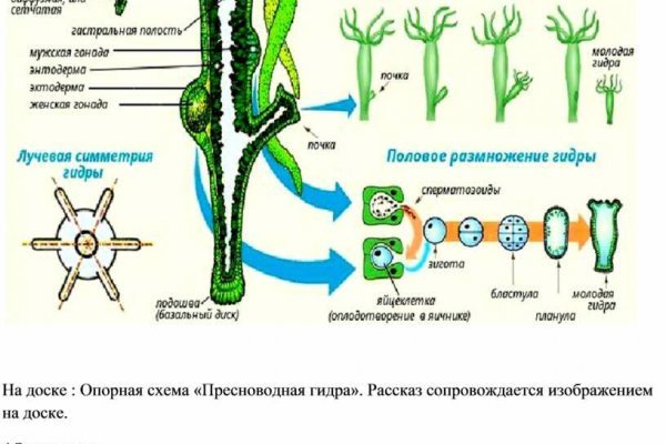 2krn at официальный