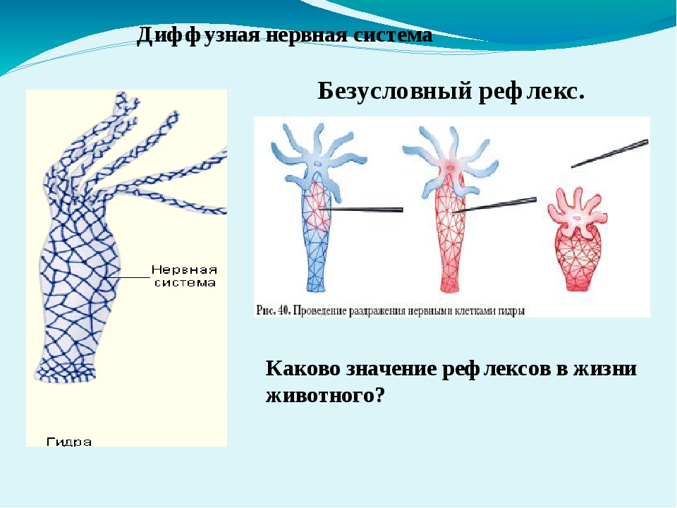 Оригинальный сайт кракен